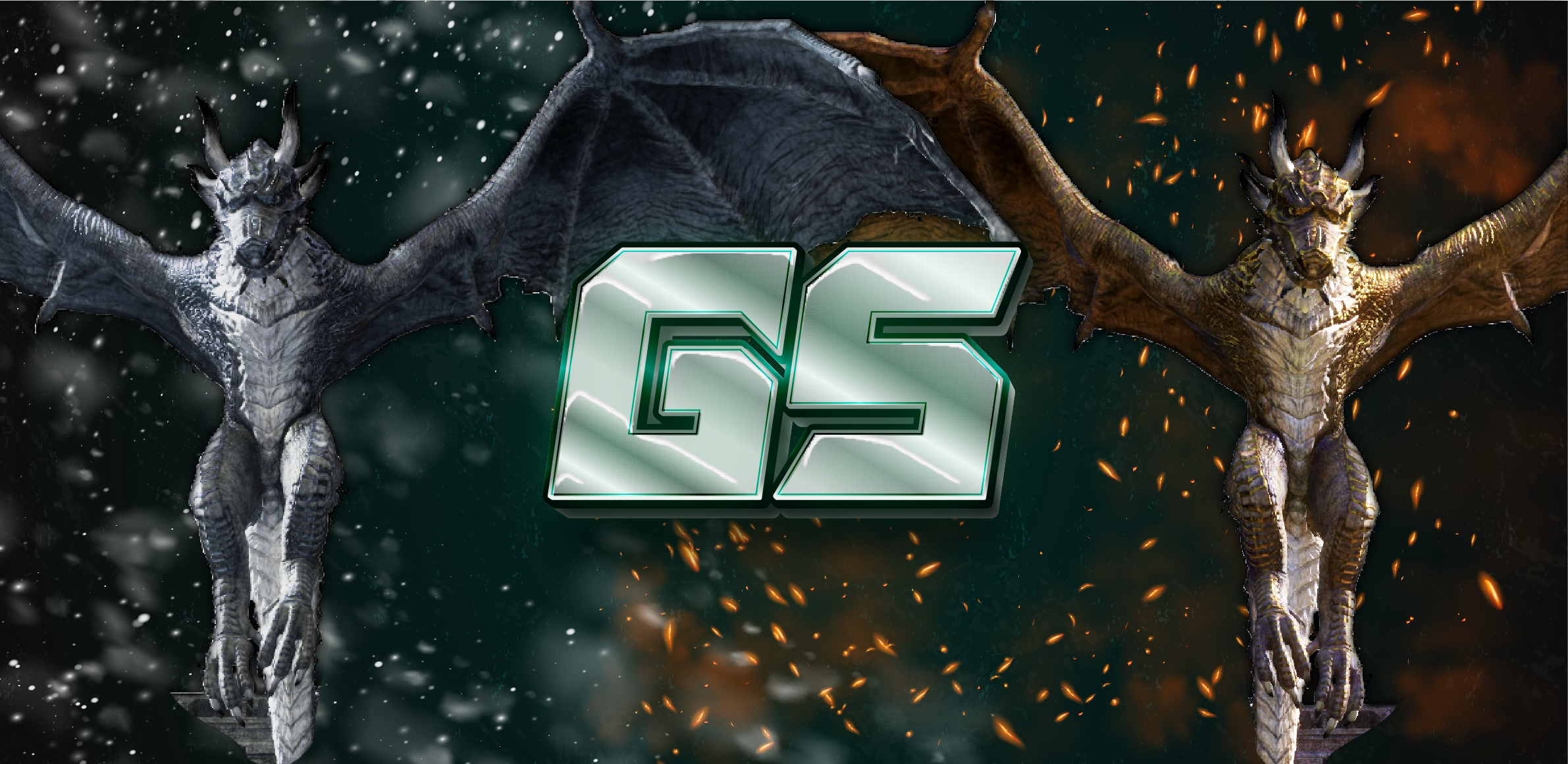 hw-banner-raid-GS-01